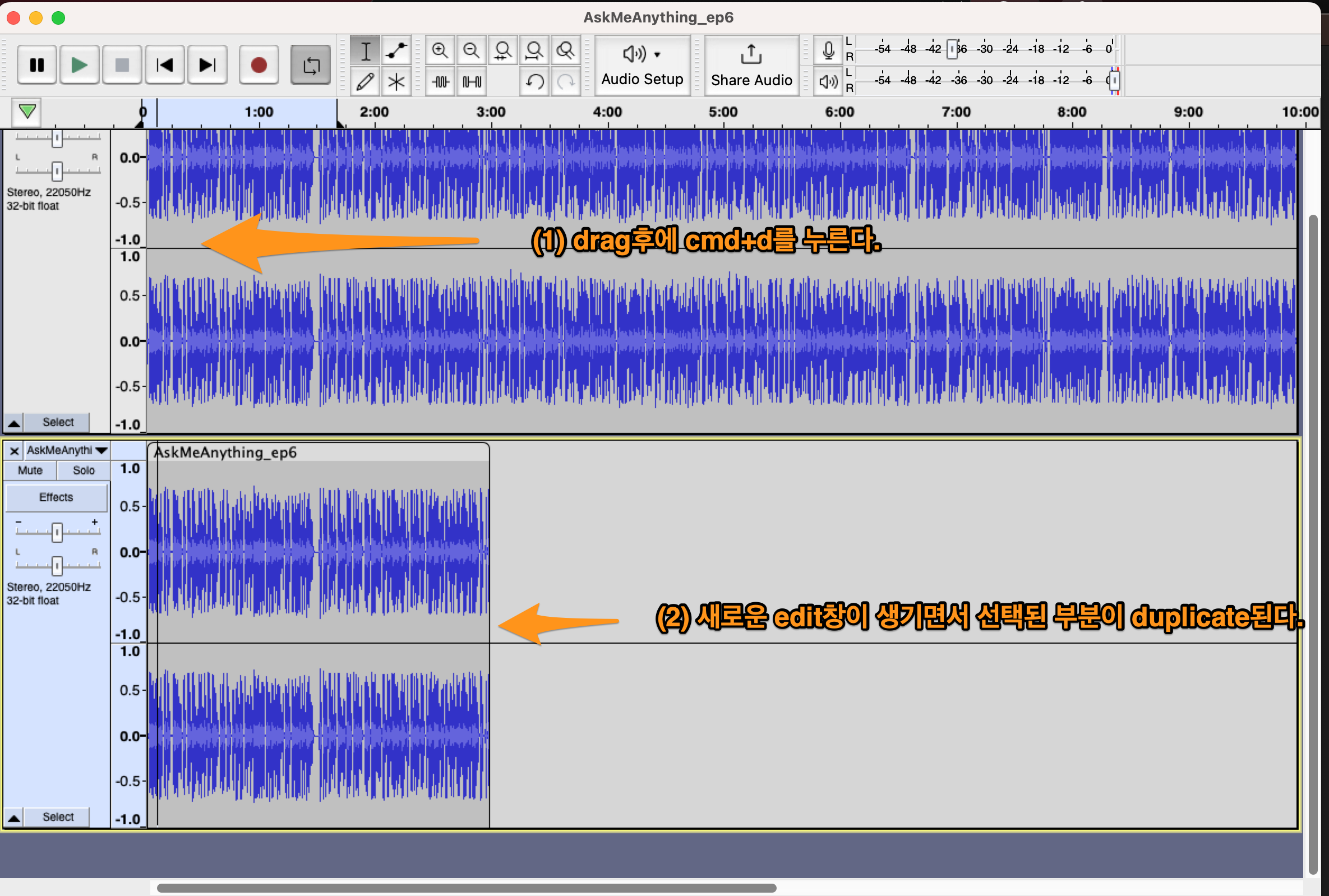 Figure 2: duplicate region