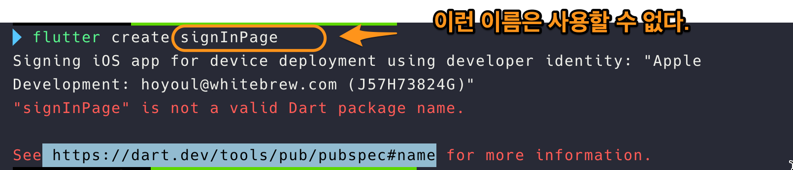 Figure 6: package name