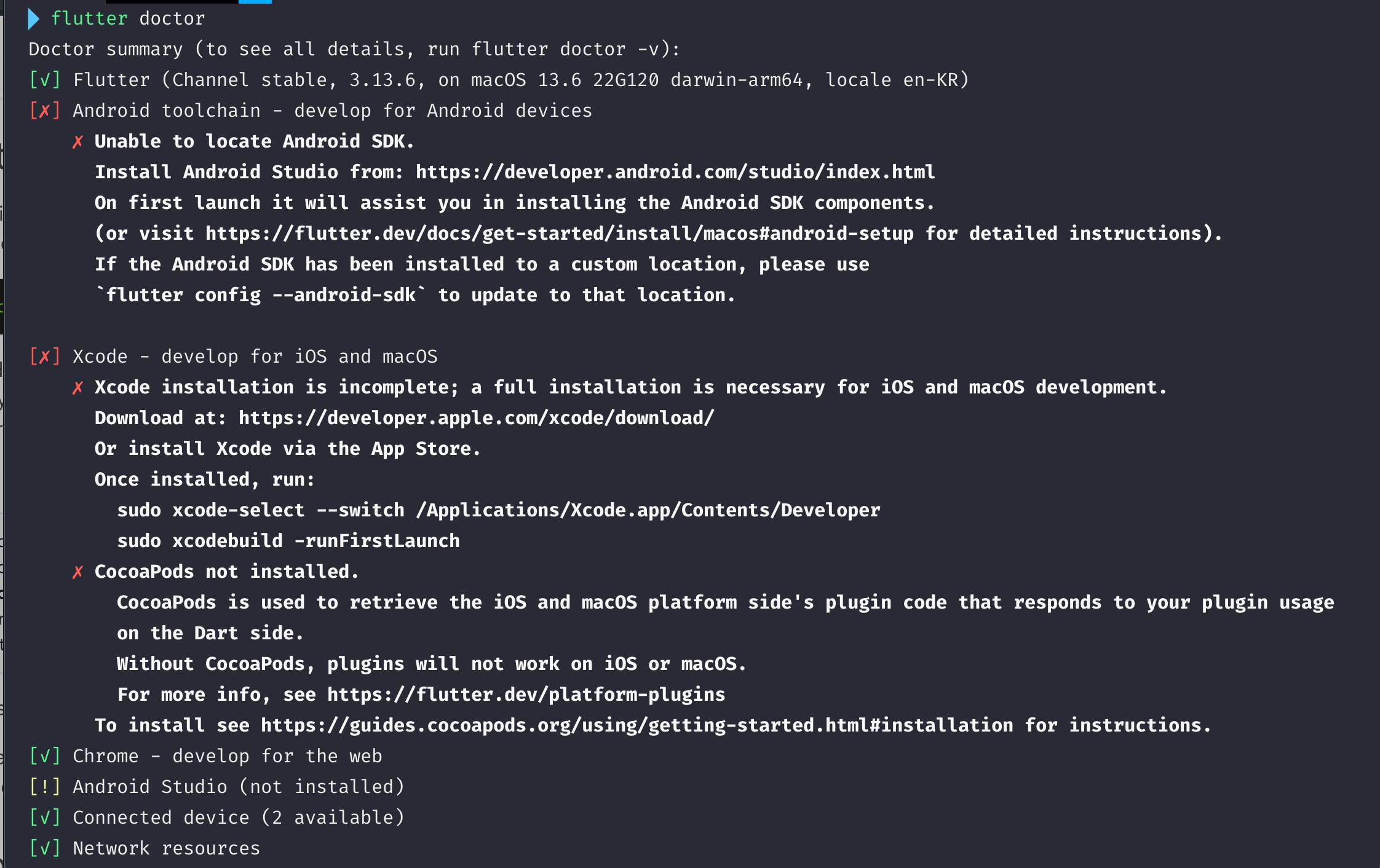 Figure 2: flutter doctor결과