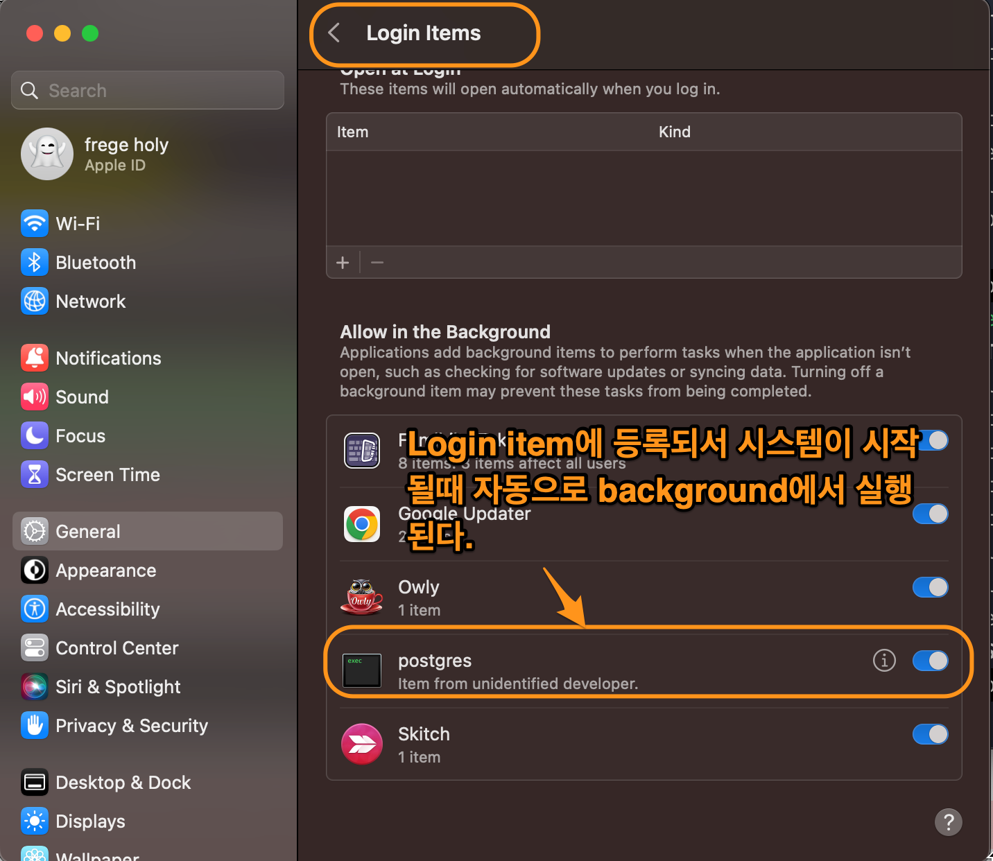 Figure 2: login item