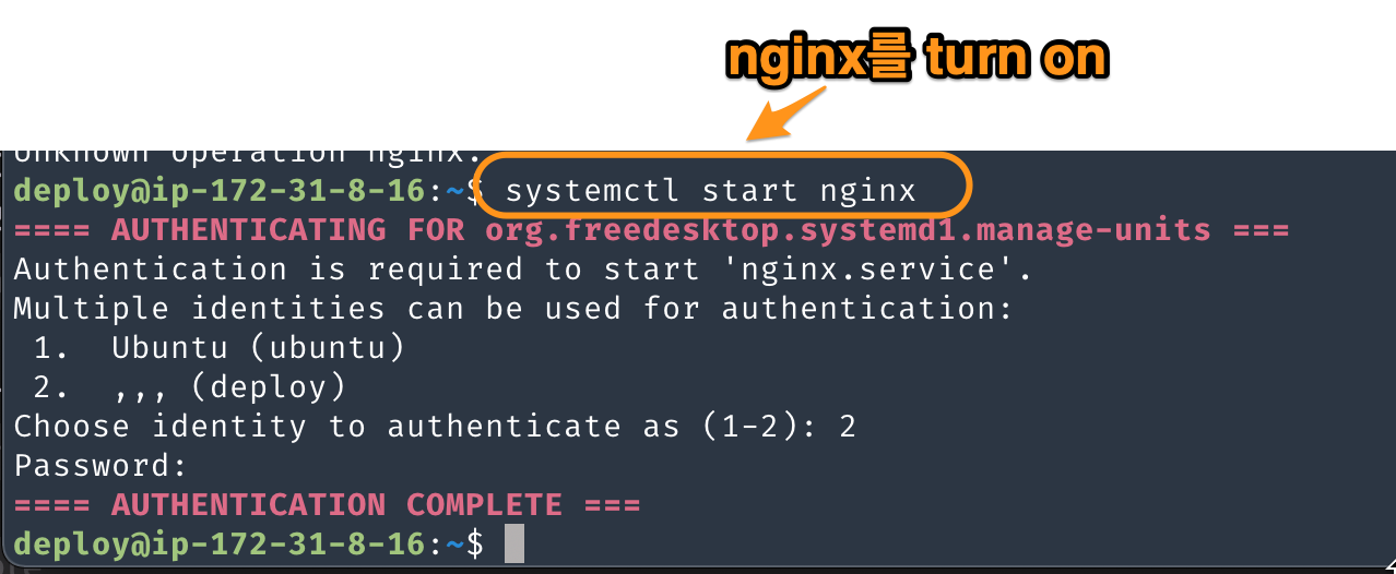 Figure 1: nginx on