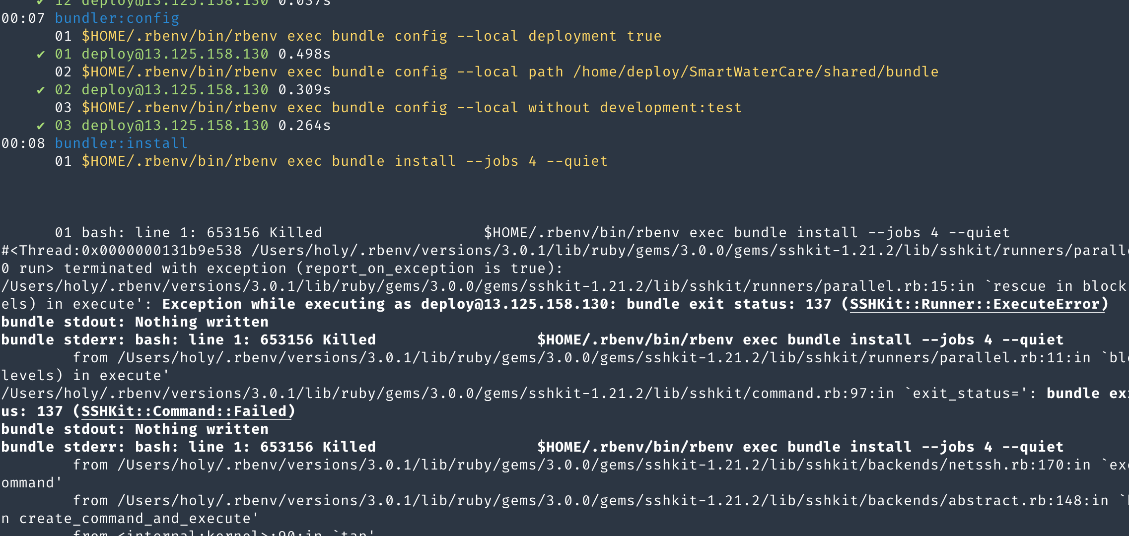 Figure 3: bundler error