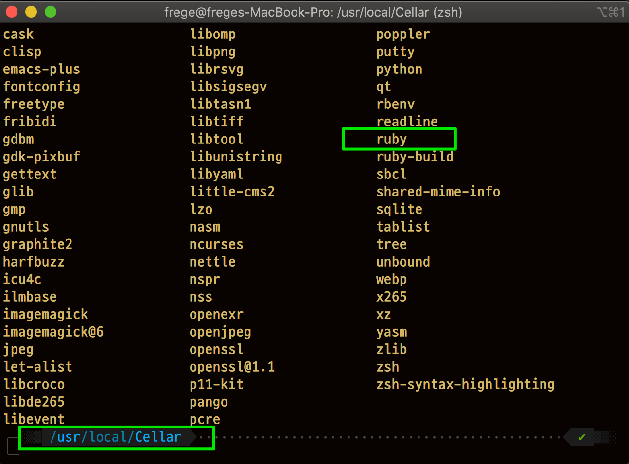 Figure 3: ruby 설치1