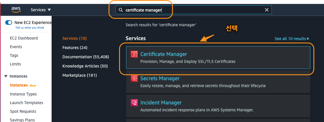 Figure 102: certificate manager
