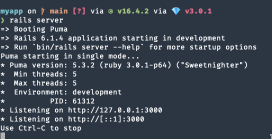 Figure 5: rails server 실행